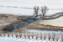 BUITEN BEELD Foto: 272223