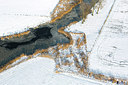 BUITEN BEELD Foto: 272264