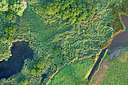BUITEN BEELD Foto: 272328