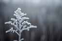 BUITEN BEELD Foto: 272458