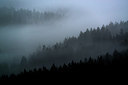 BUITEN BEELD Foto: 272476