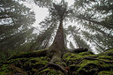 BUITEN BEELD Foto: 272489