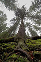 BUITEN BEELD Foto: 272490