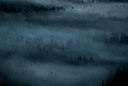 BUITEN BEELD Foto: 272494