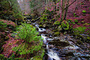 BUITEN BEELD Foto: 272497