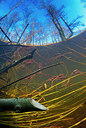 BUITEN BEELD Foto: 272499