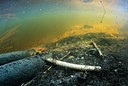BUITEN BEELD Foto: 272500