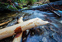 BUITEN BEELD Foto: 272507