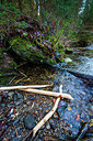 BUITEN BEELD Foto: 272508