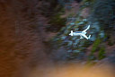 BUITEN BEELD Foto: 272552