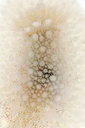 BUITEN BEELD Foto: 272563