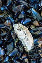 BUITEN BEELD Foto: 272573