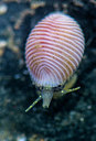 BUITEN BEELD Foto: 272588
