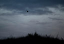 BUITEN BEELD Foto: 272595