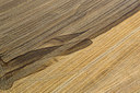 BUITEN BEELD Foto: 272621