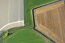 BUITEN BEELD Foto: 272626
