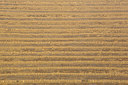 BUITEN BEELD Foto: 272629