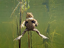 BUITEN BEELD Foto: 272770
