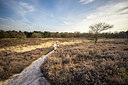 BUITEN BEELD Foto: 272814