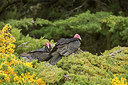 BUITEN BEELD Foto: 272901