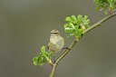 BUITEN BEELD Foto: 273053