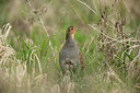BUITEN BEELD Foto: 273062