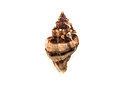 BUITEN BEELD Foto: 273133
