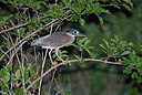 BUITEN BEELD Foto: 273188
