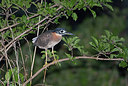 BUITEN BEELD Foto: 273190