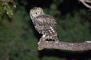 BUITEN BEELD Foto: 273191