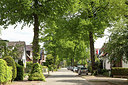 BUITEN BEELD Foto: 273208