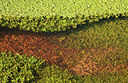 BUITEN BEELD Foto: 273226