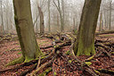 BUITEN BEELD Foto: 273240