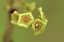 BUITEN BEELD Foto: 273354