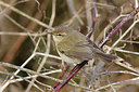 BUITEN BEELD Foto: 273373