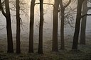 BUITEN BEELD Foto: 273374