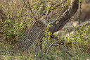 BUITEN BEELD Foto: 273419