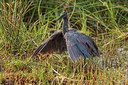 BUITEN BEELD Foto: 273426