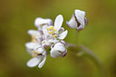 BUITEN BEELD Foto: 273458