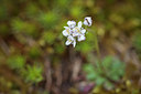 BUITEN BEELD Foto: 273459