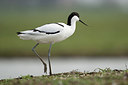 BUITEN BEELD Foto: 273479