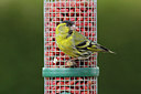 BUITEN BEELD Foto: 273633