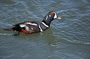 BUITEN BEELD Foto: 273636