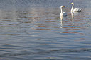 BUITEN BEELD Foto: 273654