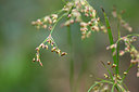 BUITEN BEELD Foto: 273695