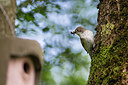 BUITEN BEELD Foto: 273762