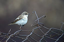 BUITEN BEELD Foto: 273850