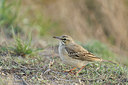 BUITEN BEELD Foto: 273853