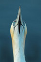BUITEN BEELD Foto: 273894