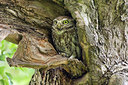 BUITEN BEELD Foto: 273903
